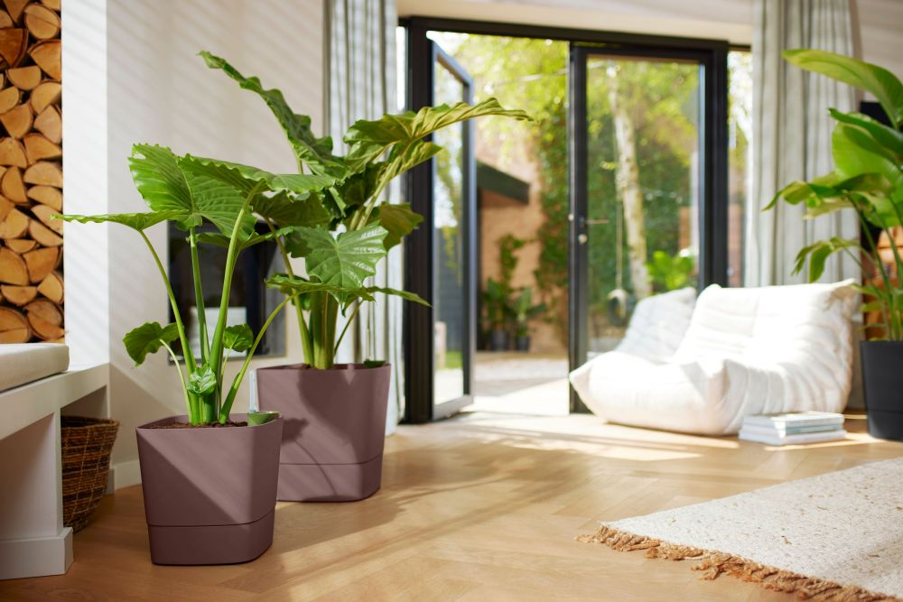 Greensense Aqua Care Square 30