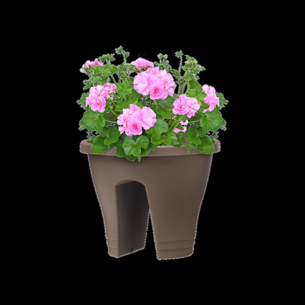 Corsica Flower Bridge 30