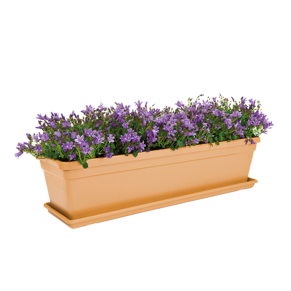 Green Basics Trough Saucer 50