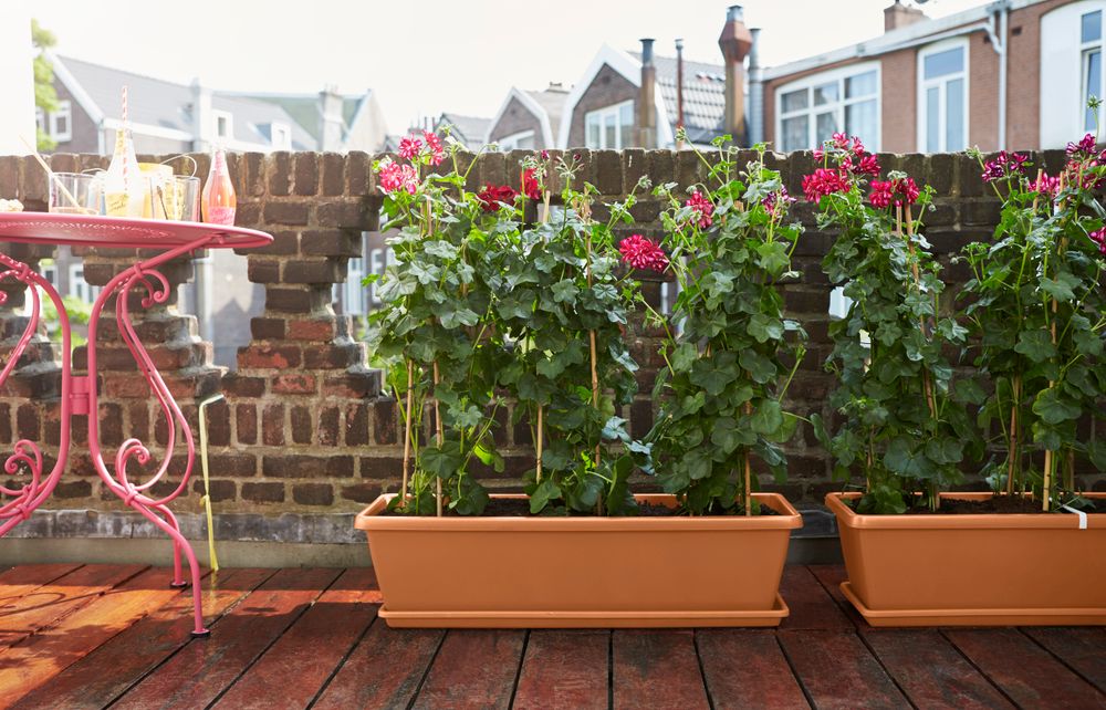 Barcelona Xl Saucer 80