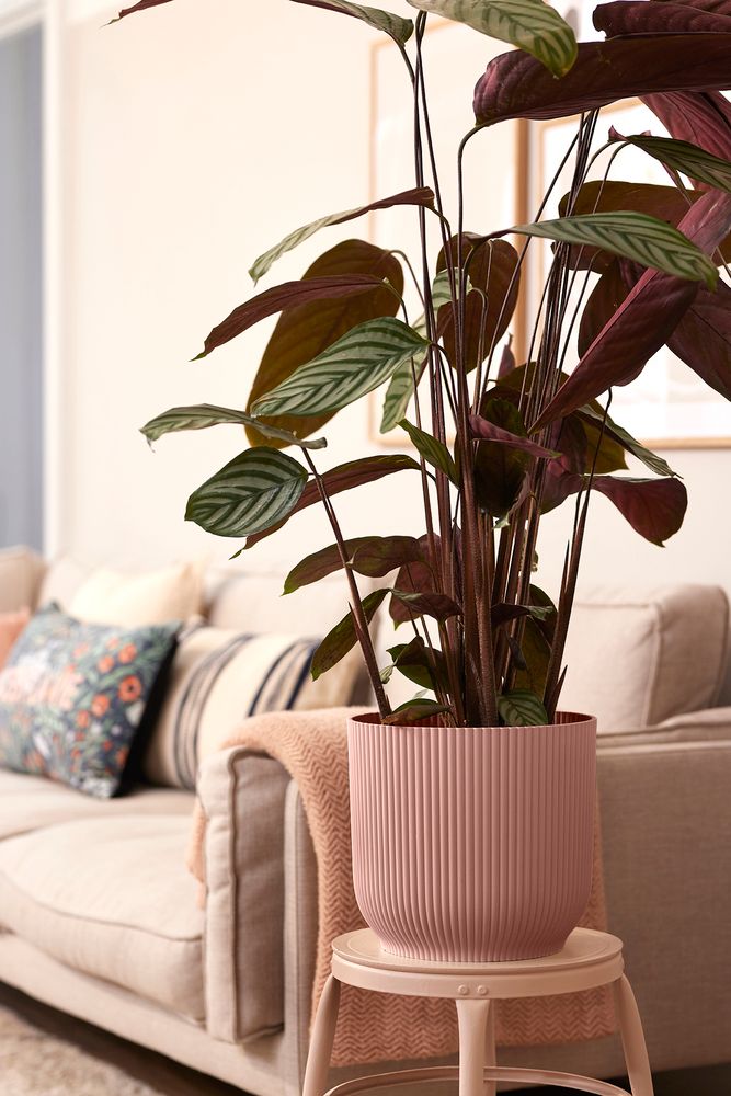 Vibes Fold Round Wheels 35