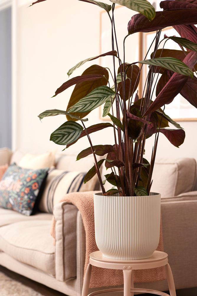 Vibes Fold Round Wheels 35