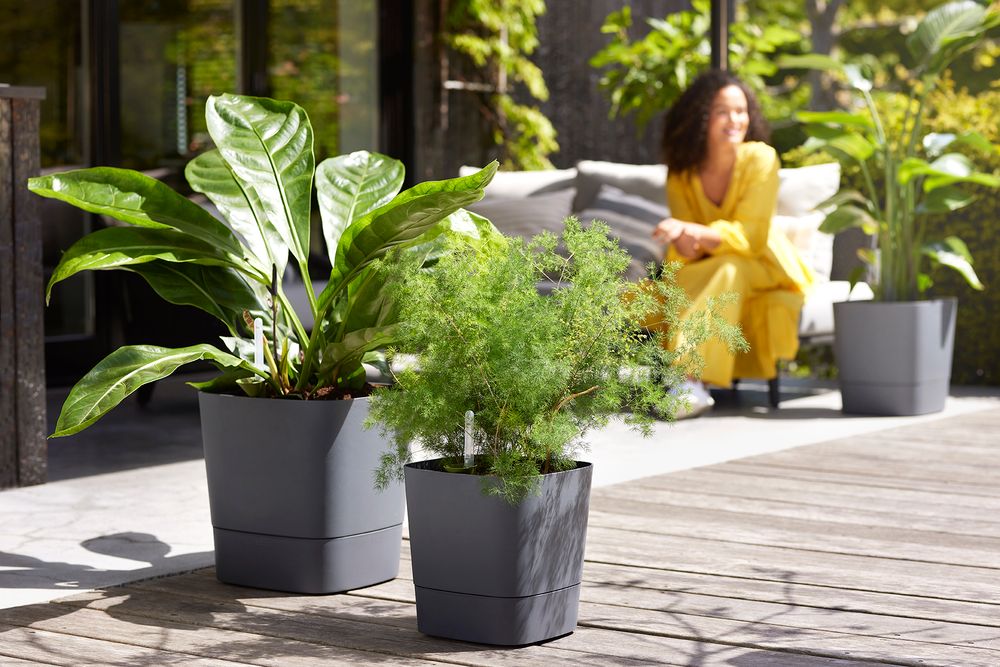 Greensense Aqua Care Square 38