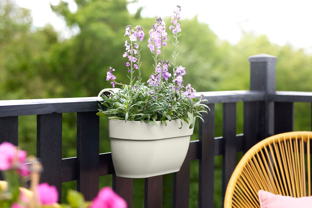 BNDL Vibia C. Easy Hanger M X 2