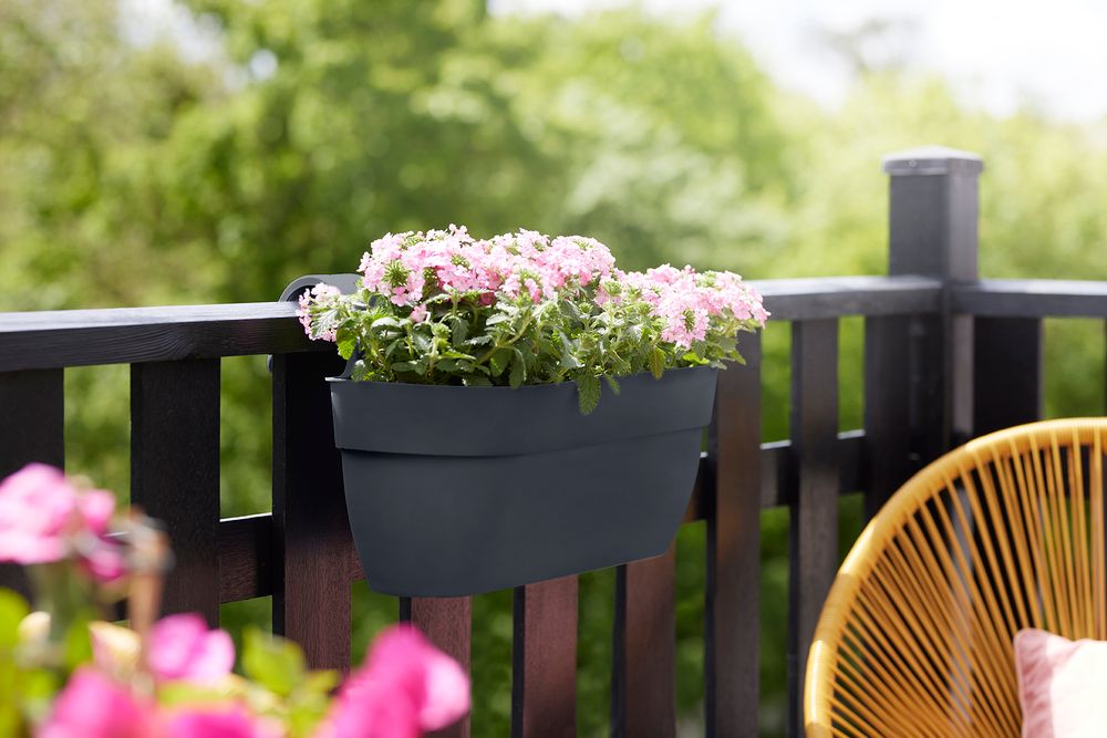 Vibia Campana Easy Hanger Large