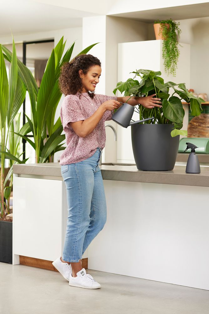 BNDL Brussels Watering Can + Sprayer