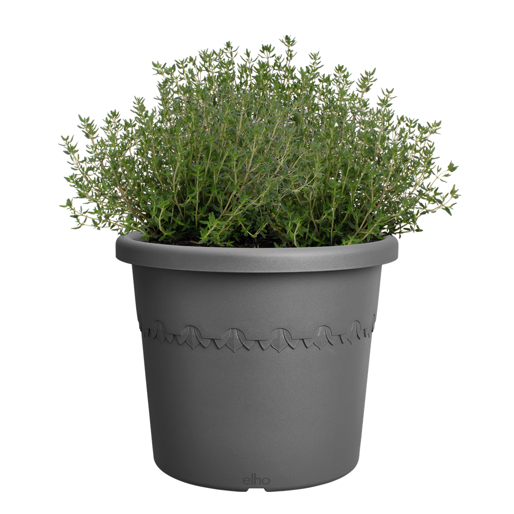 BNDL Algarve Cilindro 25 X10