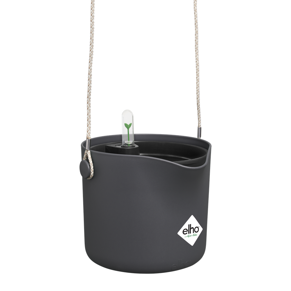 BNDL B.for Swing18+swi 17