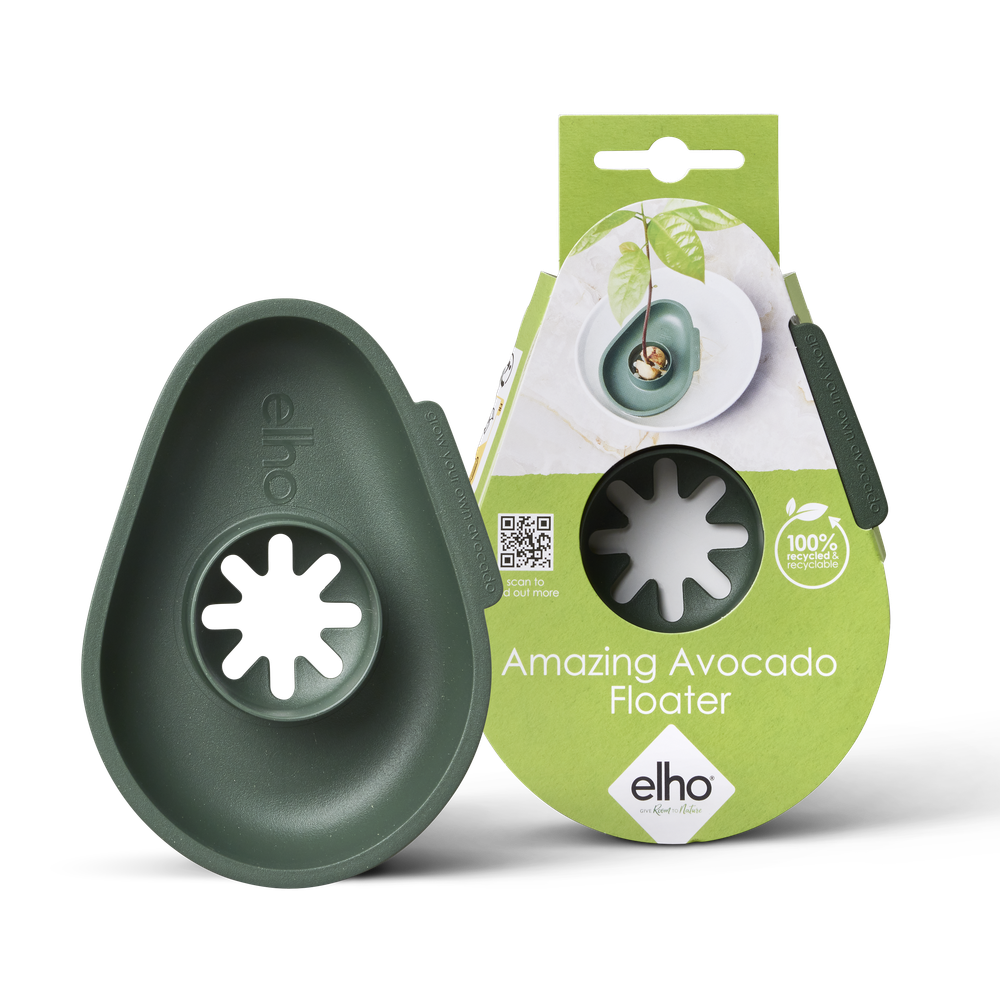 Amazing Avocado Floater