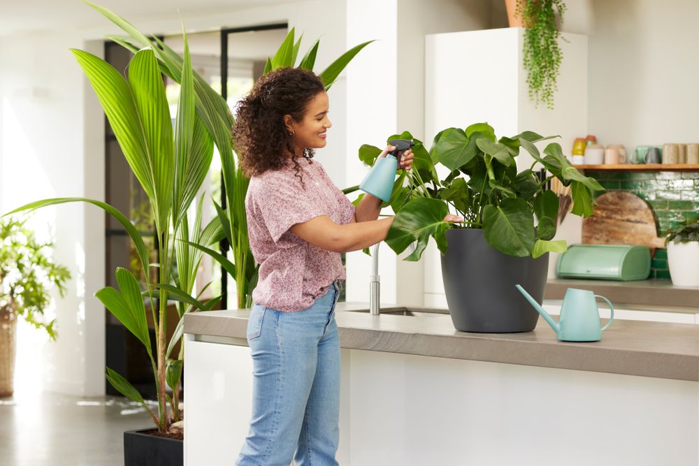 BNDL Brussels Watering Can + Sprayer