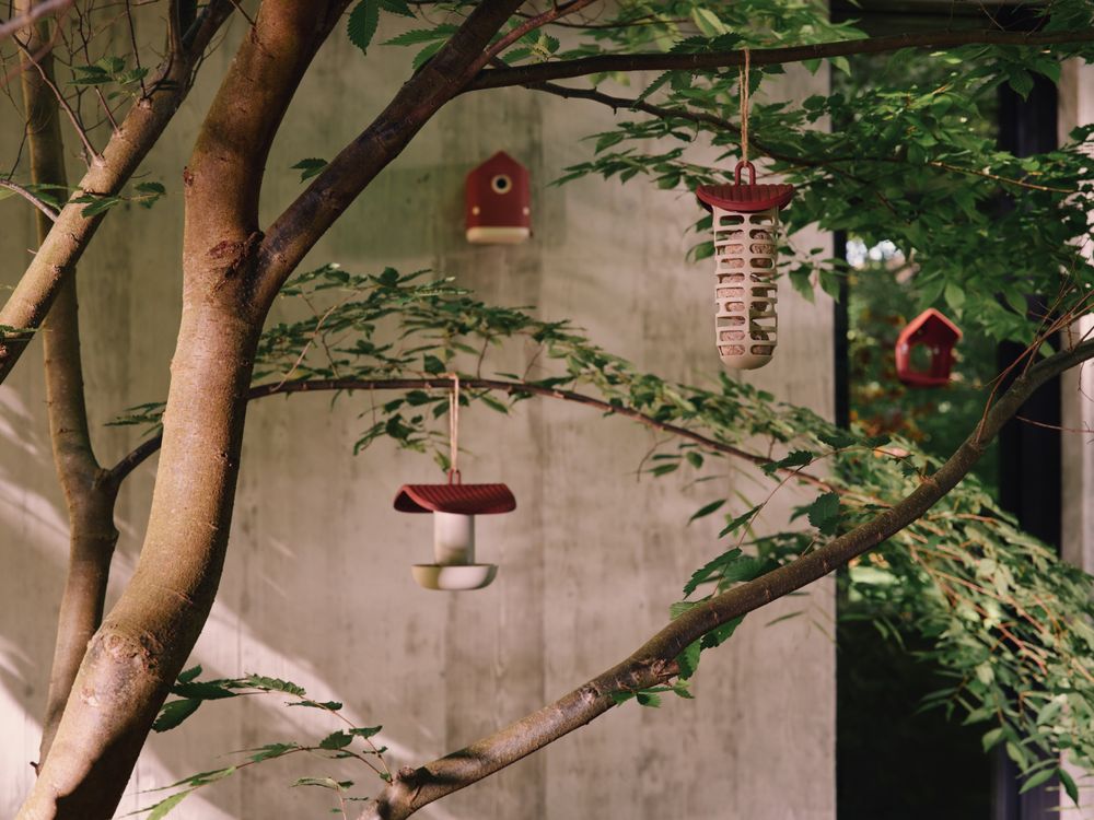 Cosy Suet Ball Feeder 10