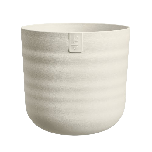 Dune Round 22