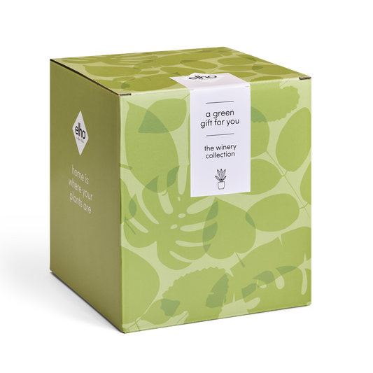 GIFT Winery Collection 14,16,18