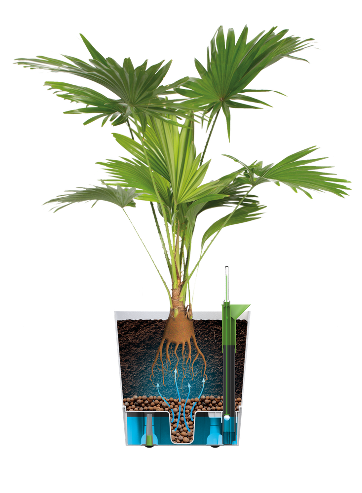 Greensense Aqua Care Square 30