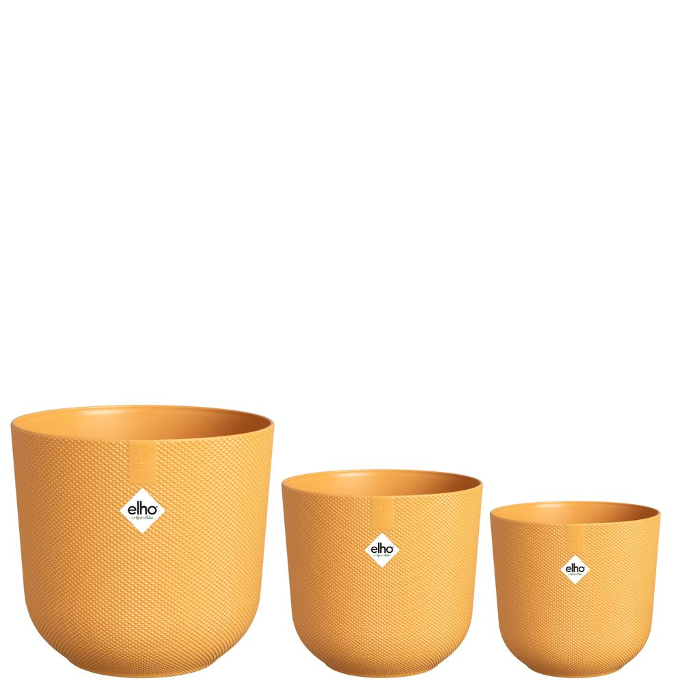 BNDL Jazz Round 14,16,19