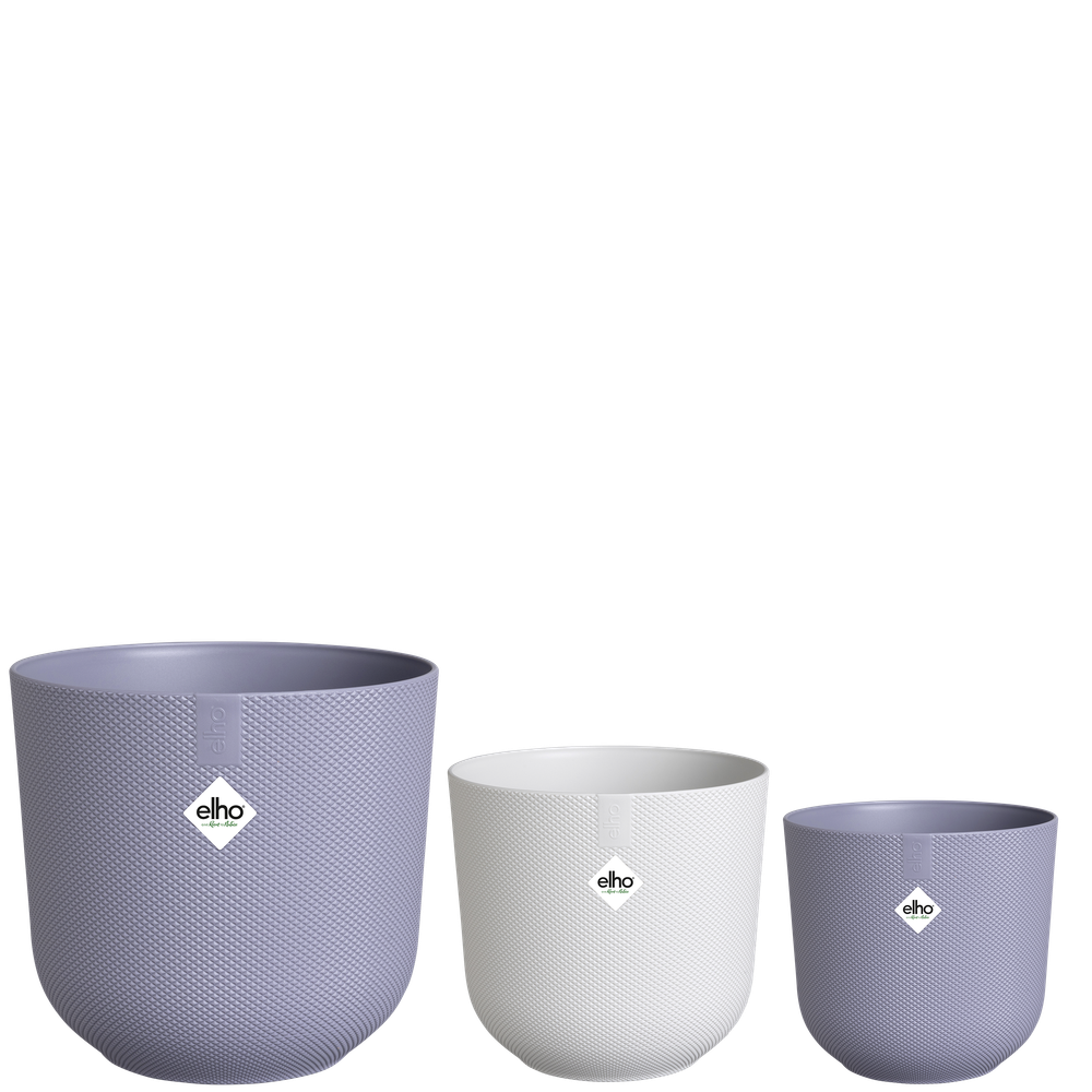 BNDL Jazz Round 14,16,19