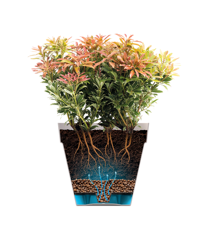 BNDL Loft Urban Round 30 X2