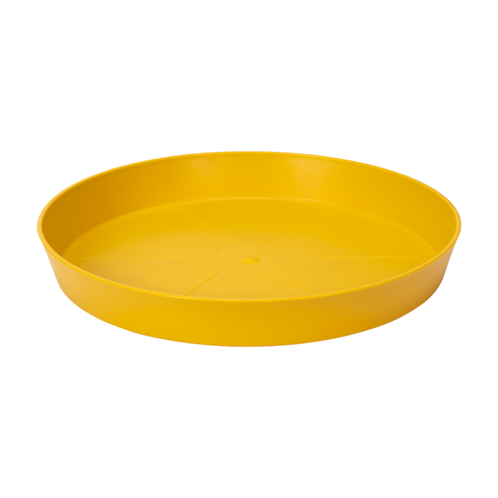 Loft Urban Saucer Round 24