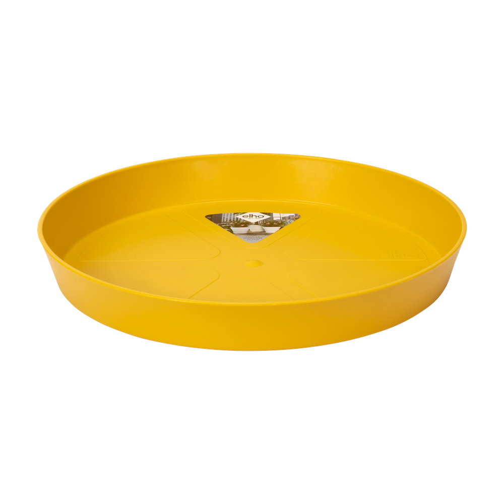Loft Urban Saucer Round 24