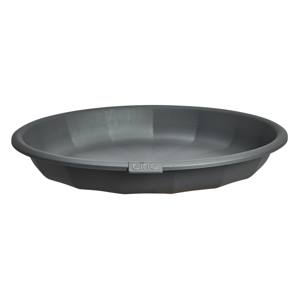 Niva Saucer Round 18