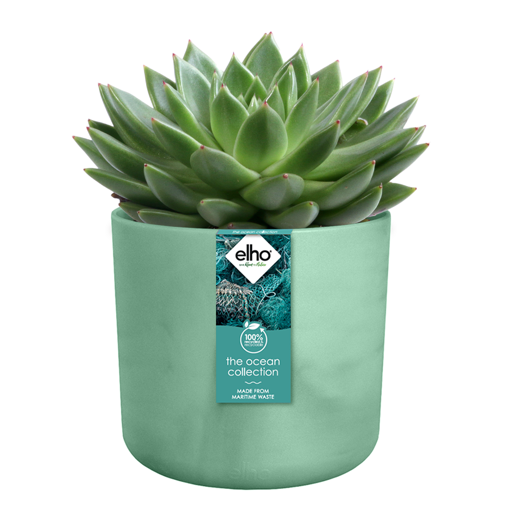 BNDL Ocean Round 22+swi21