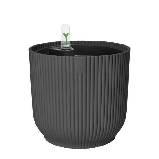 All-in-1 Vibes Round 25 + Swi 24