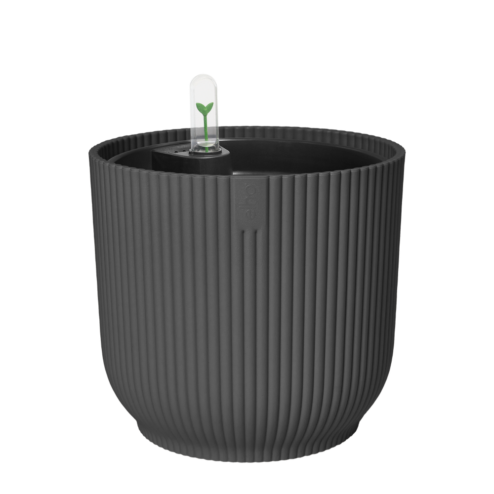 All-in-1 Vibes Round 18 + Swi 17