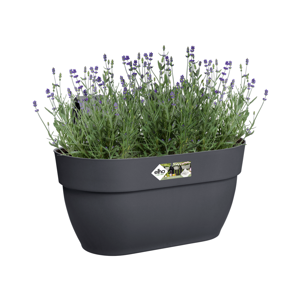 Vibia Campana Easy Hanger Medium