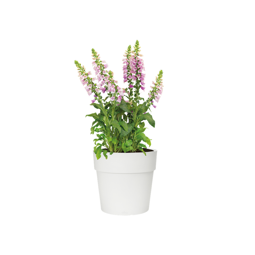 Vibia Straight Round 25