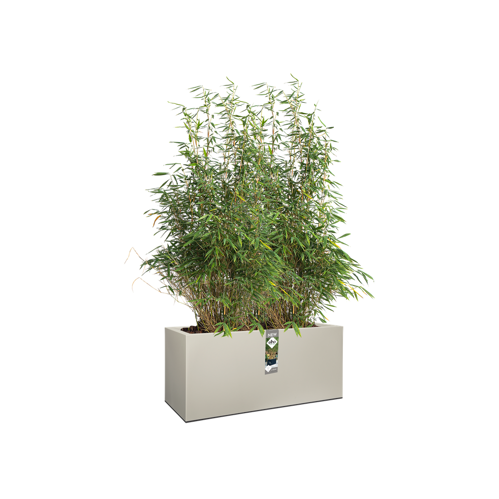 Vivo Matt Finish Long Wheels 90