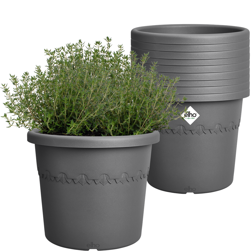 BNDL Algarve Cilindro 25 X10