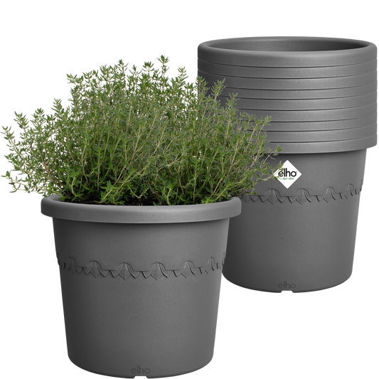 BNDL Algarve Cilindro 25 X10