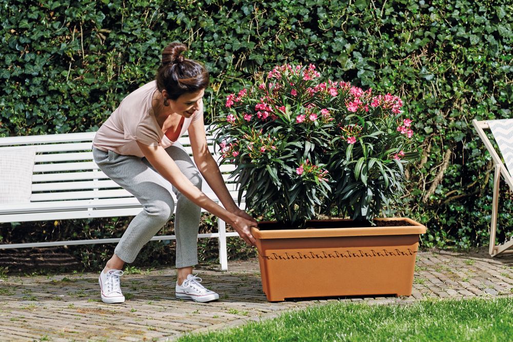 Algarve Terrace Wheels 80