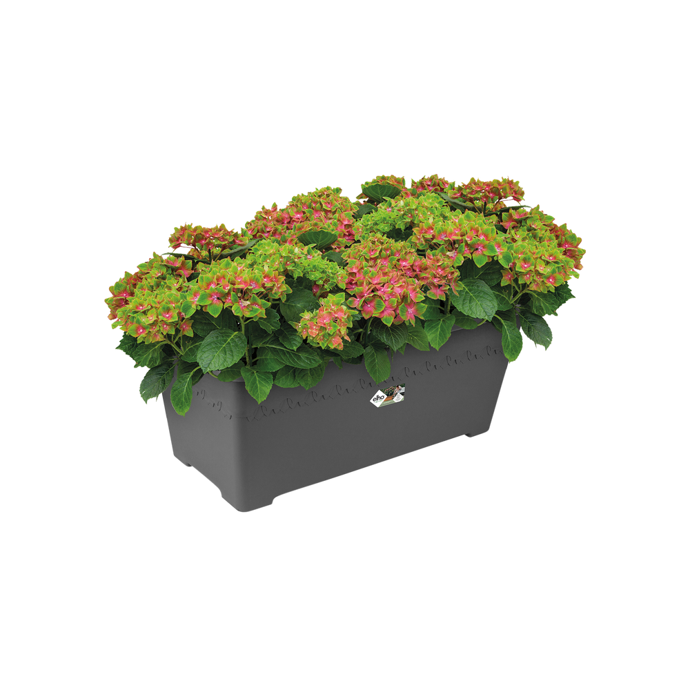 Algarve Terrace Wheels 80