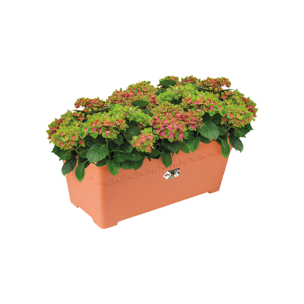 Algarve Terrace Wheels 80