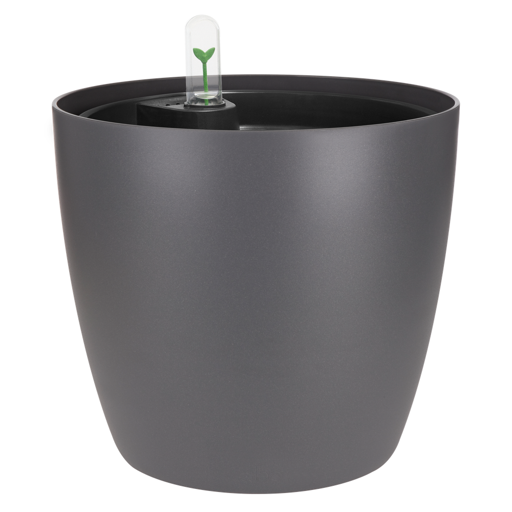 All-in-1 Brussel Round 18 + Swi 17