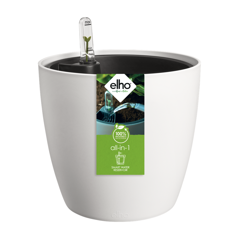 All-in-1 Brussel Round 18 + Swi 17