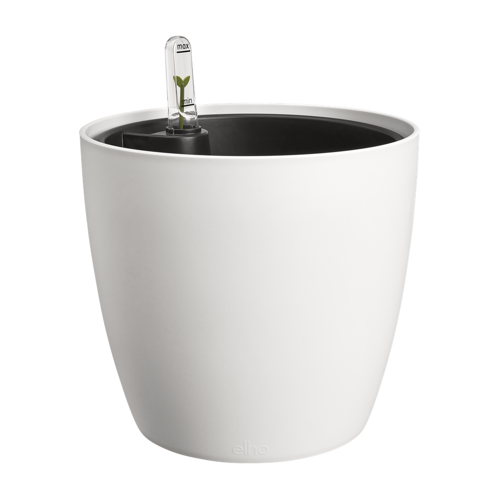 All-in-1 Brussel Round 18 + Swi 17