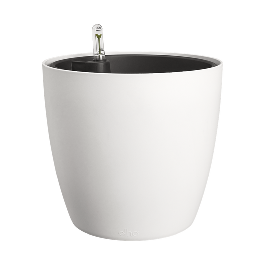 All-in-1 Brussel Round 25 + Swi 24