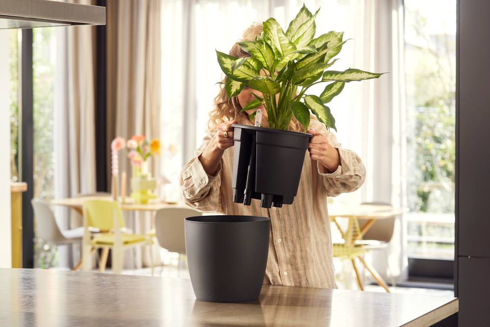 All-in-1 Brussel Round 18 + Swi 17