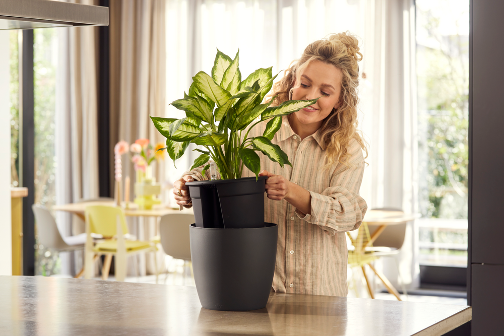 All-in-1 Brussel Round 18 + Swi 17