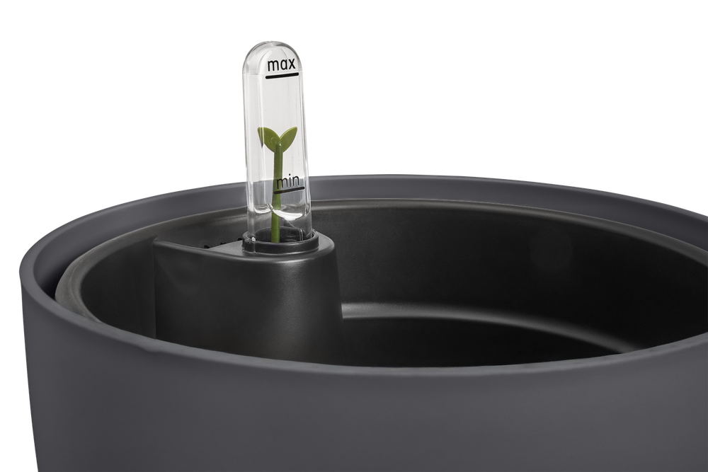 All-in-1 Brussel Round 18 + Swi 17