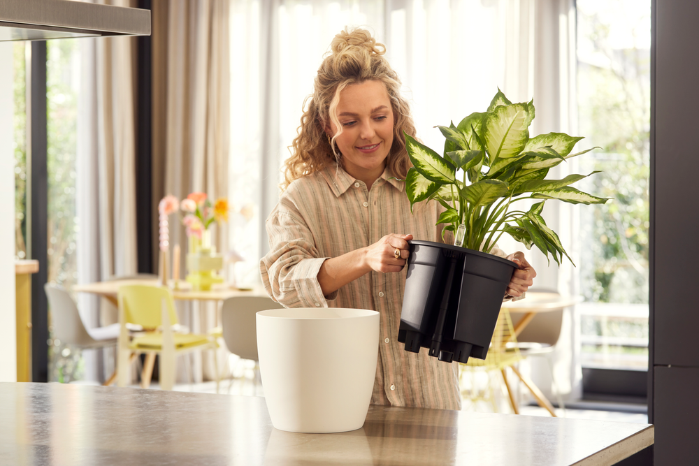 All-in-1 Brussel Round 18 + Swi 17