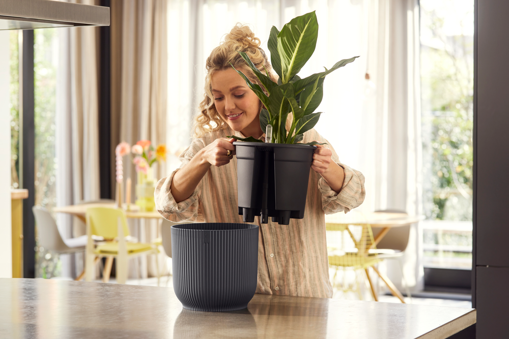 All-in-1 Vibes Round 18 + Swi 17