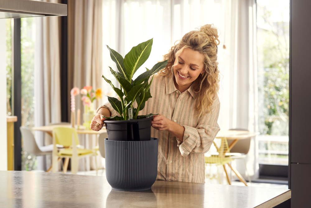 All-in-1 Vibes Round 18 + Swi 17