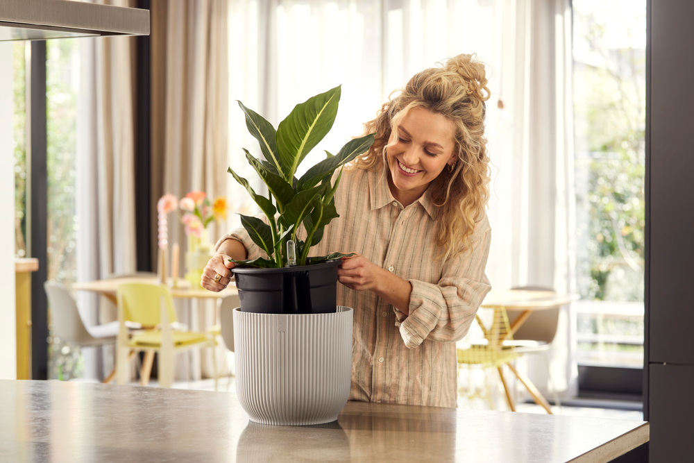 All-in-1 Vibes Round 18 + Swi 17