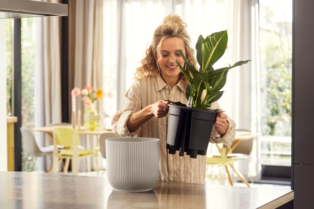 All-in-1 Vibes Round 18 + Swi 17