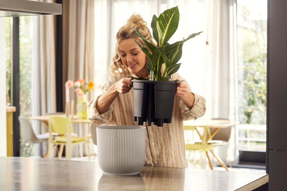 All-in-1 Vibes Round 18 + Swi 17