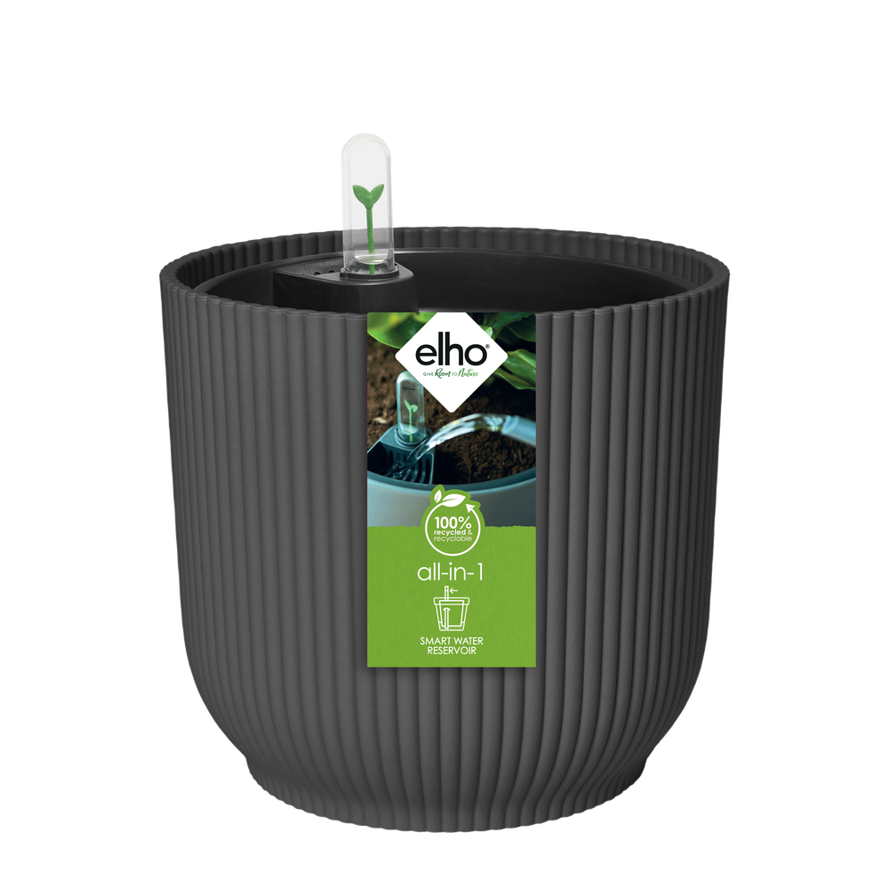 All-in-1 Vibes Round 25 + Swi 24