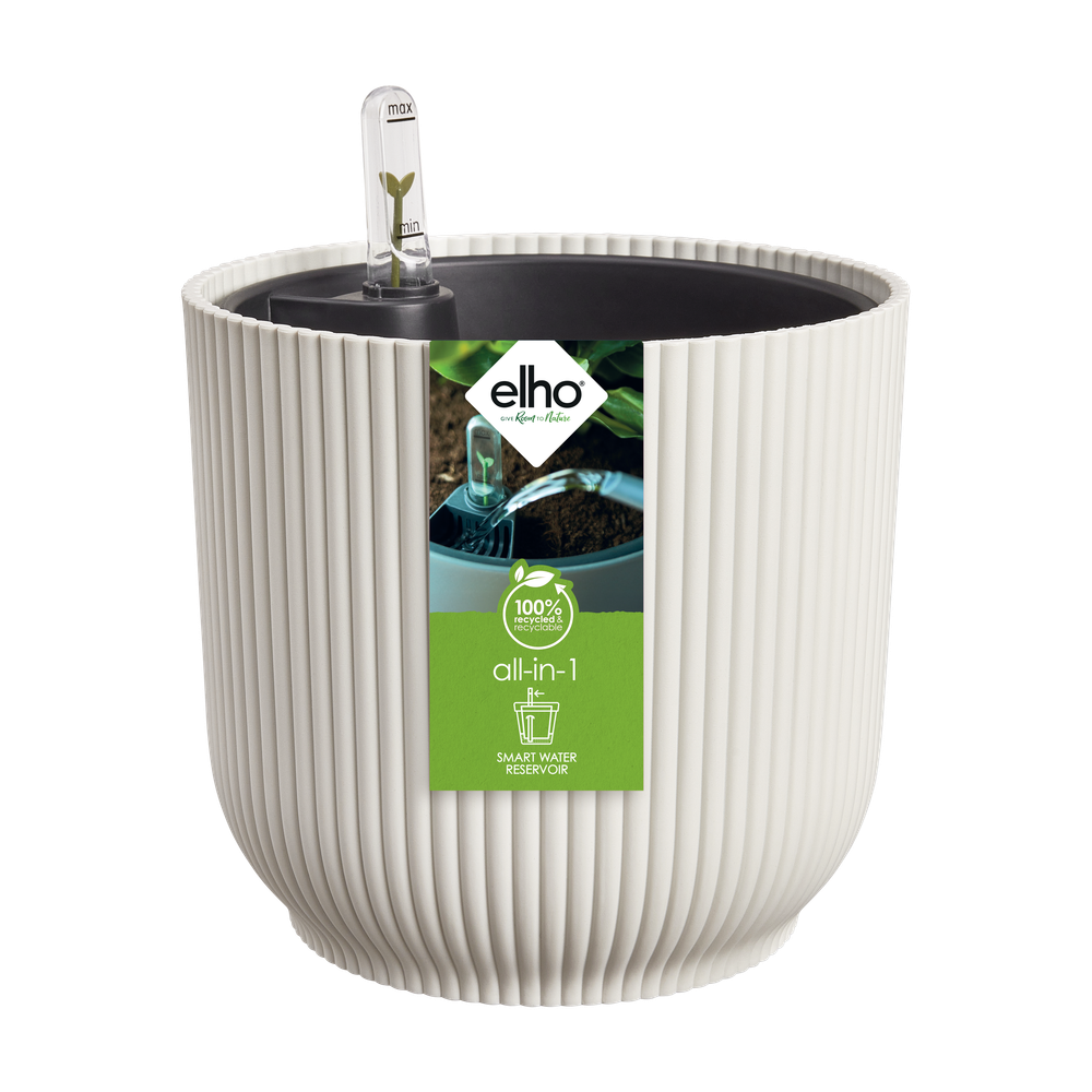 All-in-1 Vibes Round 25 + Swi 24